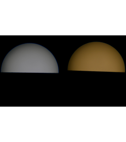 EclMiniProfile TRWD TU