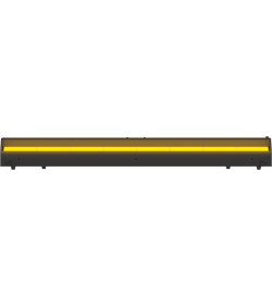 EclCyclorama 100